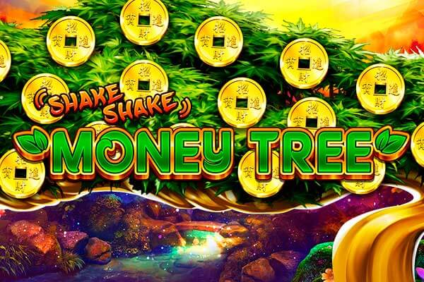 LuckybarryCasinoUK Video Slots: A Player’s Experience and Review